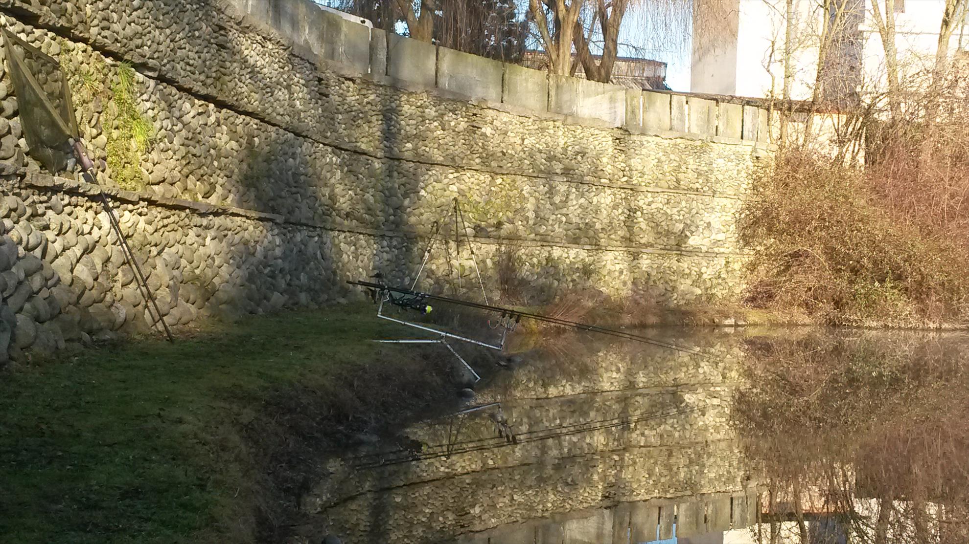 Lago dei Cigni 12 - 12 ian. - 20140112093228.jpg